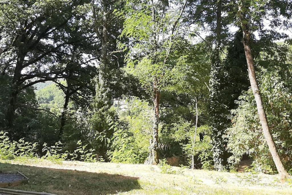 Villa Chalet Climatise Tout Confort à Lissac-sur-Couze Extérieur photo